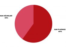 KAN HÜCRELERİ KAN PLAZMASI 