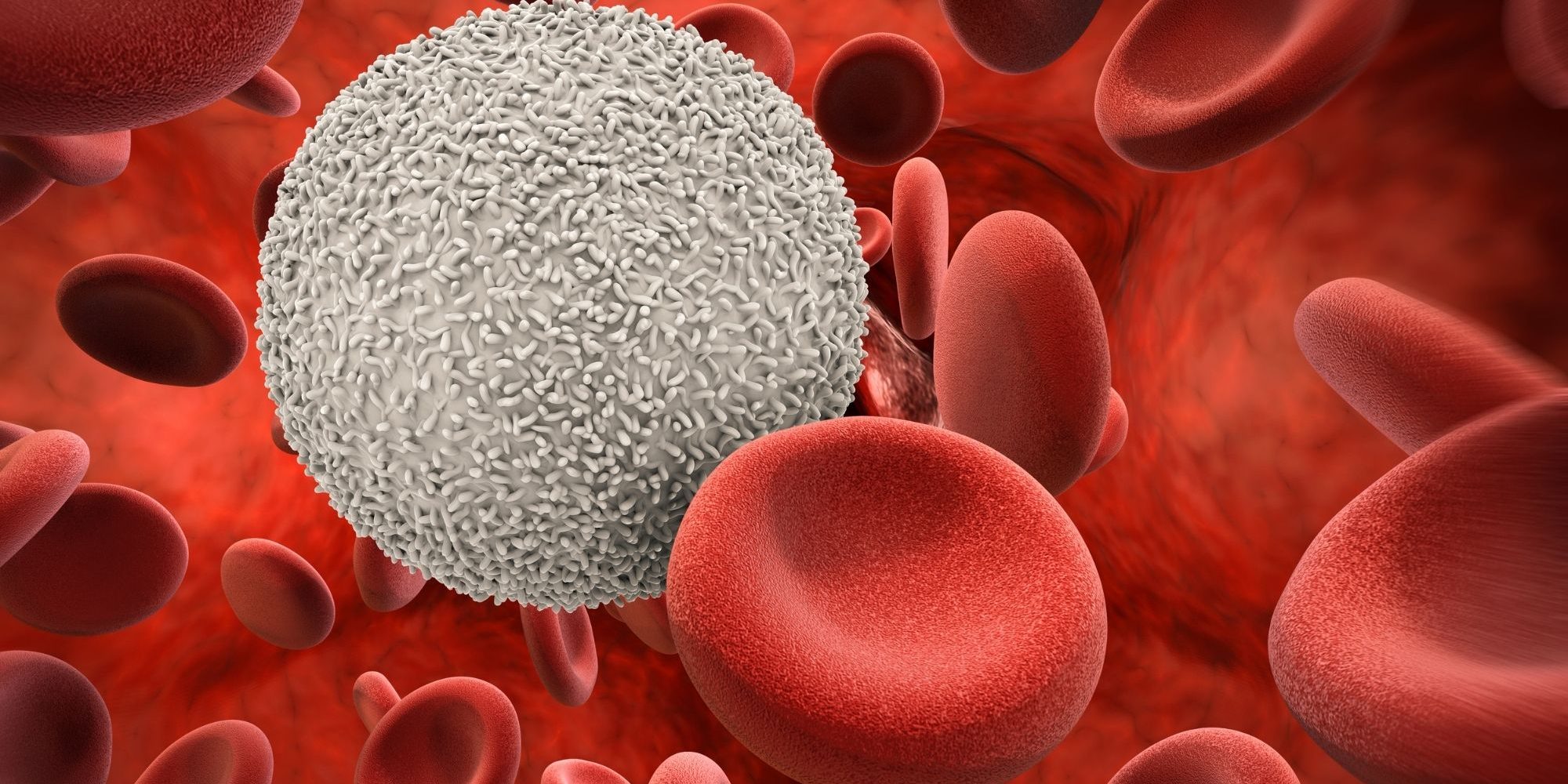 TROMBOSİT trombosit düşüklüğü, trombosit yüksekliği